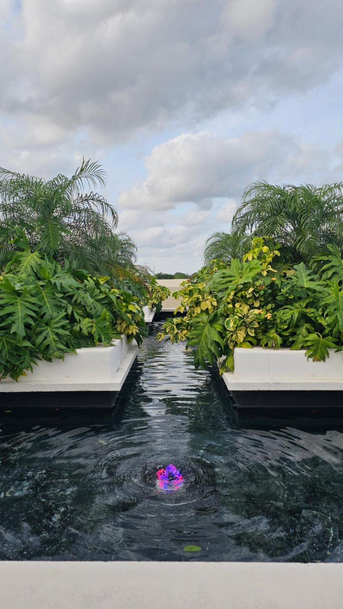 Xoza Urban Escape Cancún
